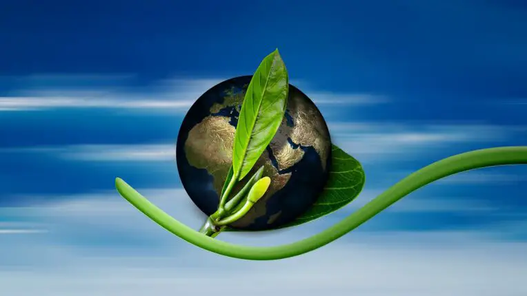 Green Marketing Ideas to Promote Eco-Friendly Small Businesses