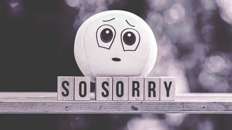 How To Write a Customer Apology Email