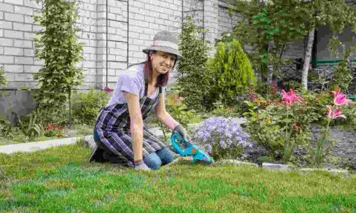 Landscaping Business Names: 526+ Ideas to Inspire You