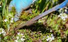 Ten Useful Gardening Tools To Remove Weeds