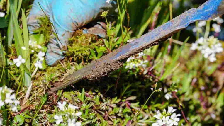 Ten Useful Gardening Tools To Remove Weeds