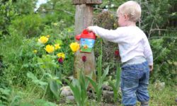 Top Ten Gardening Tools for Kids