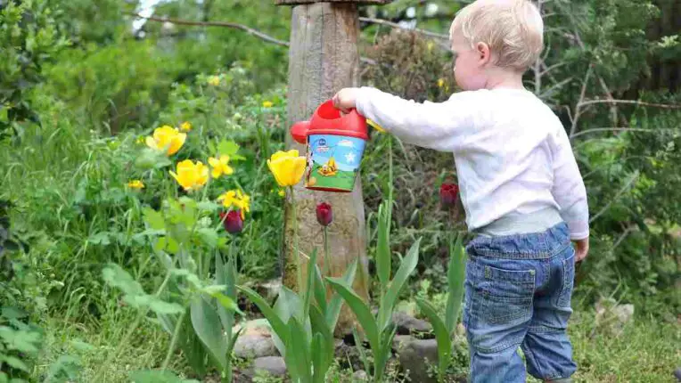 Top Ten Gardening Tools for Kids