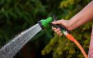 Gardening Tools for People With Arthritis